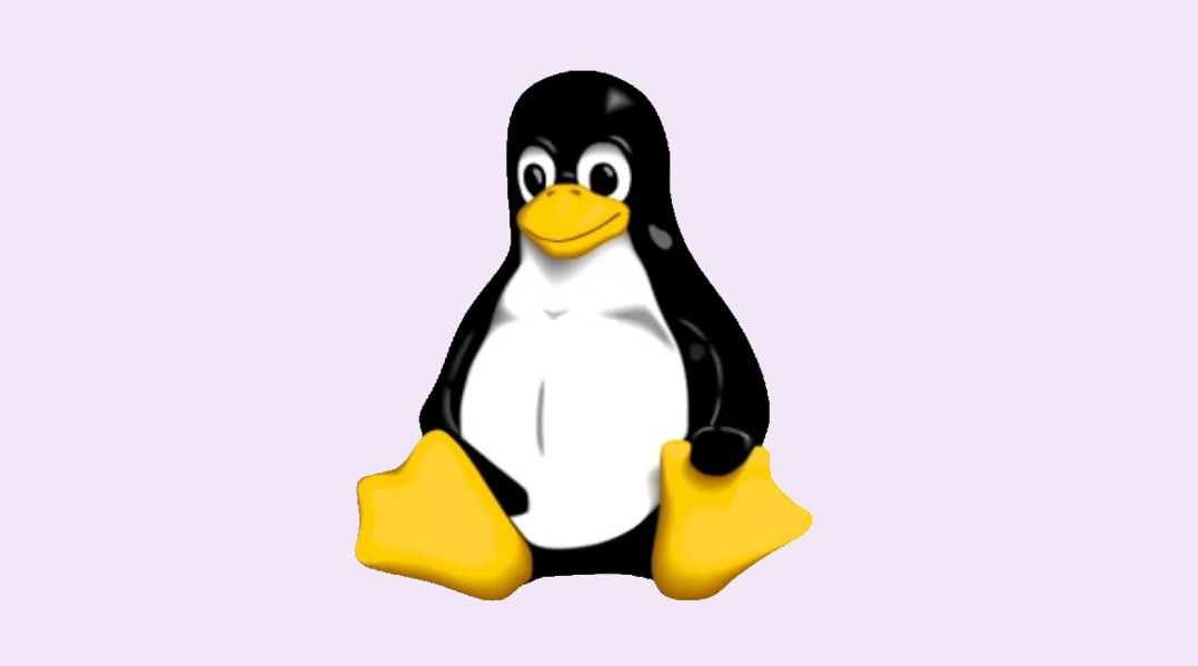 Linux Programs